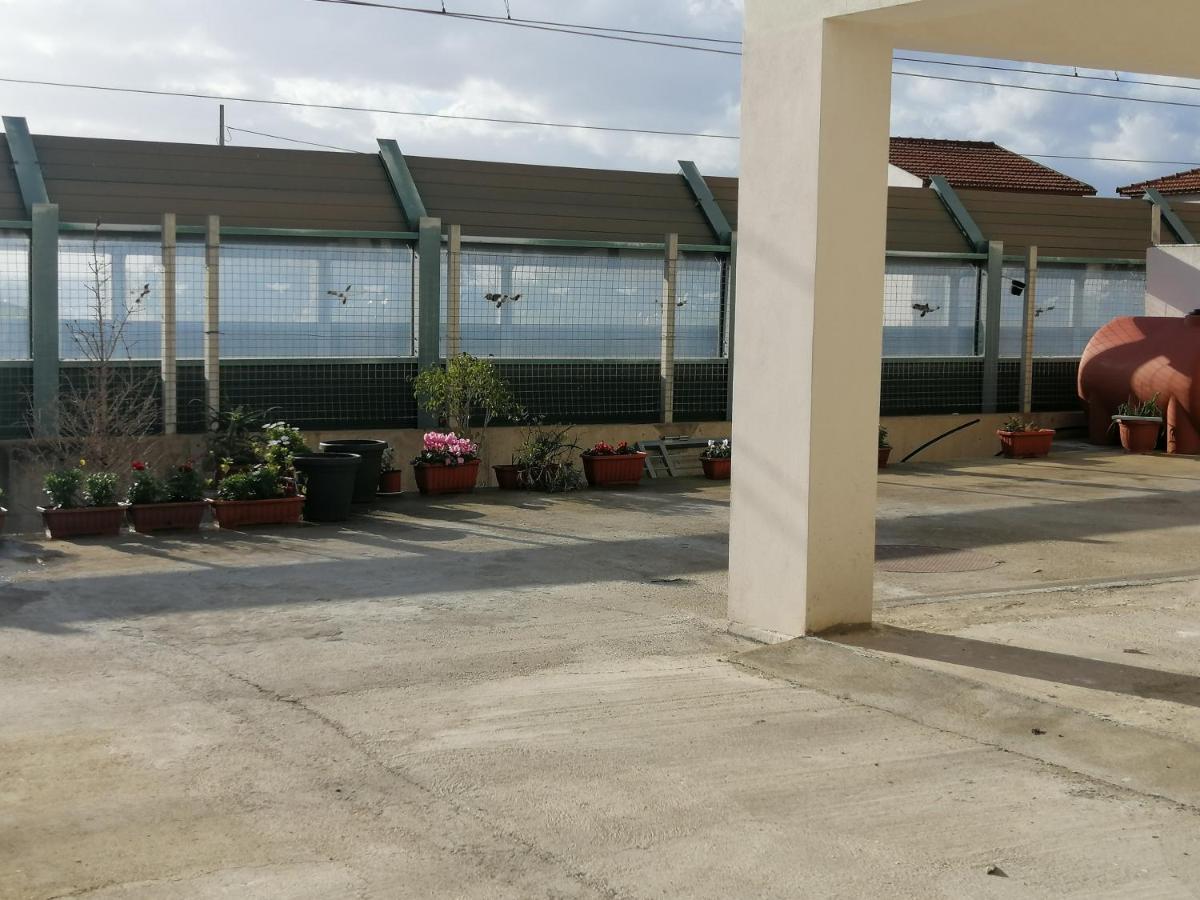 Il Corallo Azzurro Reggio di Calabria Zewnętrze zdjęcie